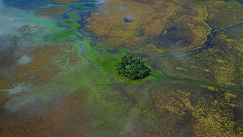 El Grupo de Trabajo para los Llanos de Moxos lanza un sitio web que recopila documentos científicos sobre el Beni